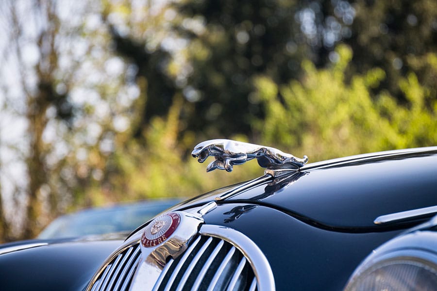 Detailfoto Jaguar Mark 2 met Jaguar logo boven de gril op de motorkap